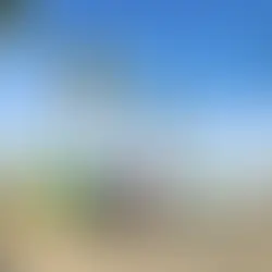 “Un proyecto de esta magnitud podría poner en riesgo a la población de ballenas azules y la biodiversidad que alberga el Parque Nacional de Loreto”: Valeria Magaña 