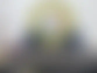 Más de 8 mil detenidos en operativo de Interpol en América Latina y Caribe