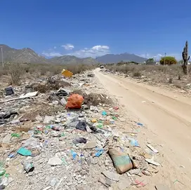 Habrá multas de hasta 50 mil pesos por violar normas ambientales en Los Cabos