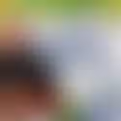 Derrame de hidrocarburos en el Golfo de México: Pemex separa de su cargo a 3 funcionarios