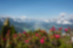 Silberregion_TVB
