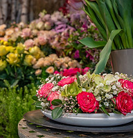 Schnittblumen