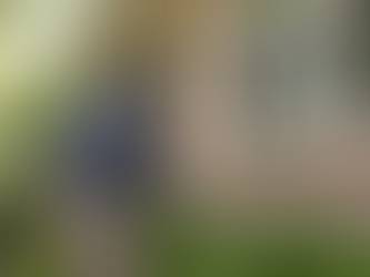 AI-generated illustration of a home inspector checking exterior brickwork and windows.