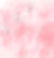 blush5_edited_edited.jpg