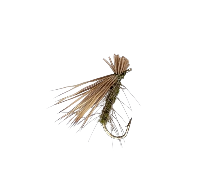 Olive Elk Hair Caddis