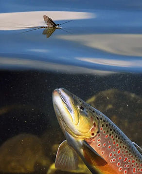 usjj6KAqXtj0WdZk1CxxPFXWG7TGqTu8vW2OWkxZ