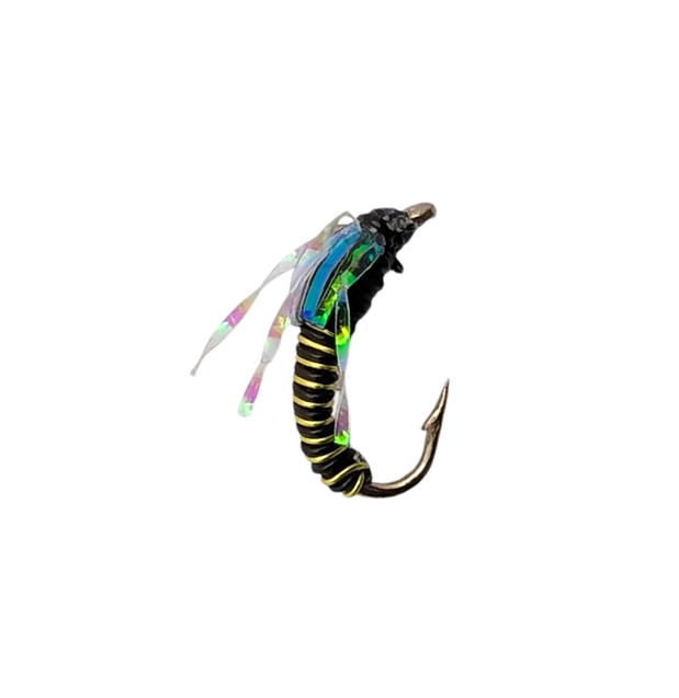 Nymph
