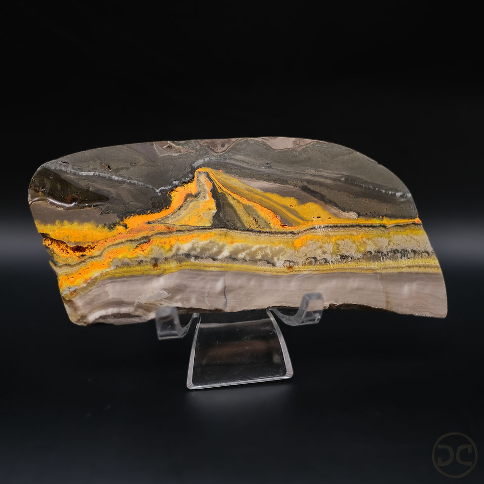 Thumbnail: Vibrant Bumblebee Jasper Slab