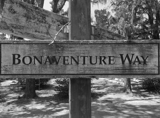 Stroll Through the Cemetery