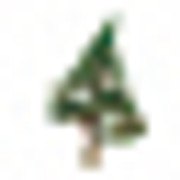 Eastwood Tree Services Ltd logo