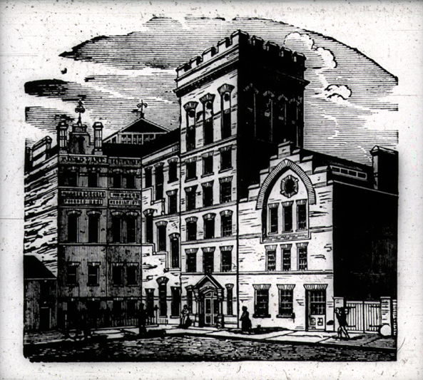 Roots & Heritage fieldlane