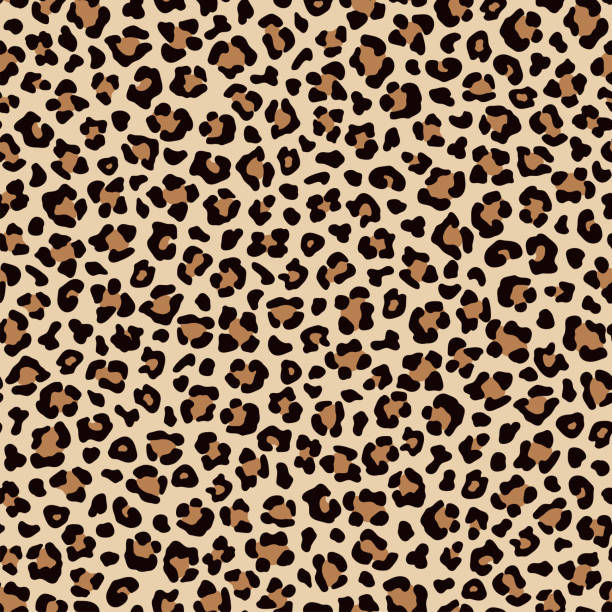 leopard.jpeg