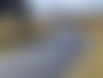 What we have been up to in January 2021!