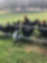 Gate Wheel with Anthonys chooks.JPG