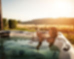 ISTOCK SPA