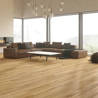 National Flooring Distributors.webp