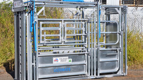 Top Features to Look for in a High-Quality Cattle Crush