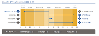 測驗工具大解析: Myers-Briggs (MBTI) vs. Predictive Index (PI)