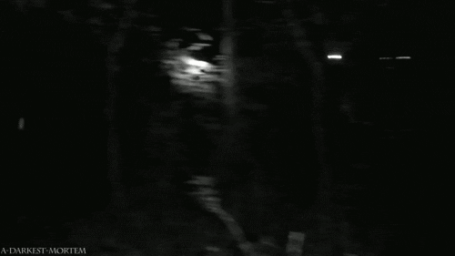 GHOSTMAN.gif