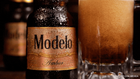 MODELONEGRO.gif