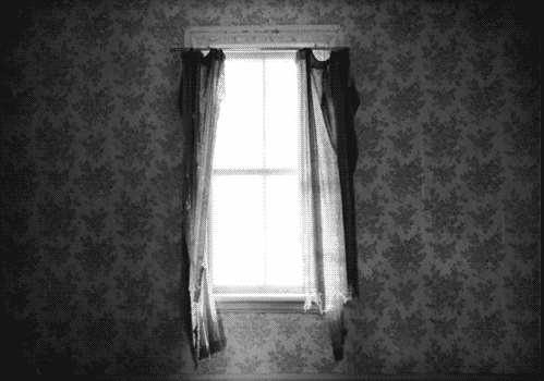 WINDOW.gif