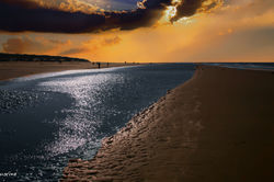 Ameland seascape
