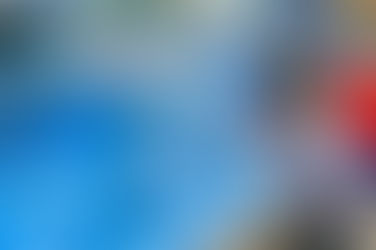 The Sea World Debacle