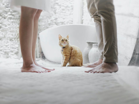 The Ominous Role of Contempt in Abusive Relationships