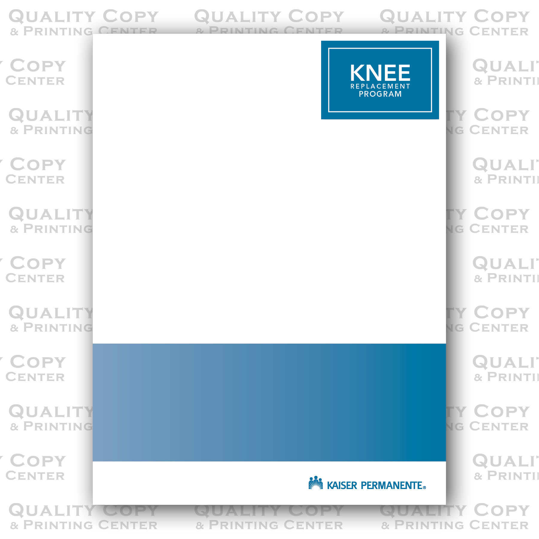 Knee Replacement Program