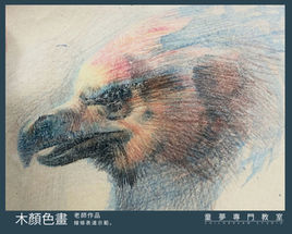 A2-color pencil-06.jpg