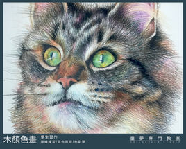 A2-color pencil-05.jpg