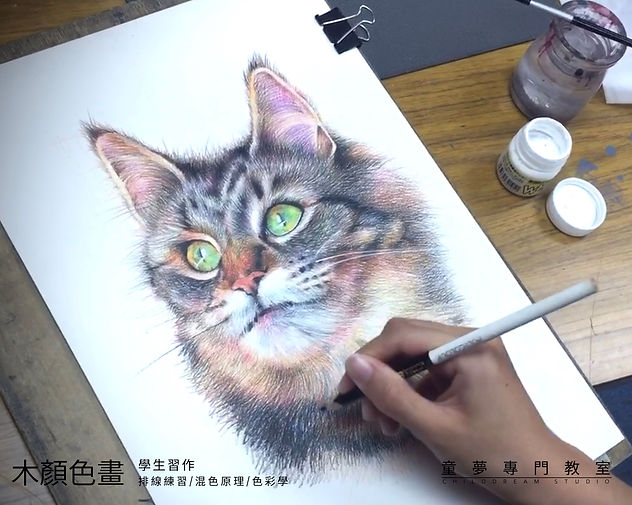 A2-color pencil-headB.jpg