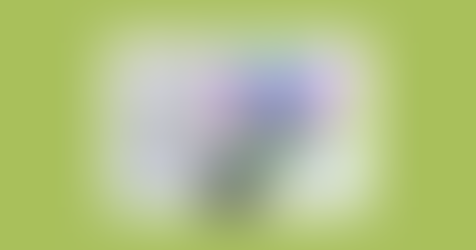 Le baccalauréat, et après ?