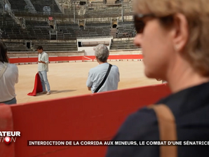 🎥 À voir ! Le combat pour la protection des mineurs face à la violence des arènes continue.