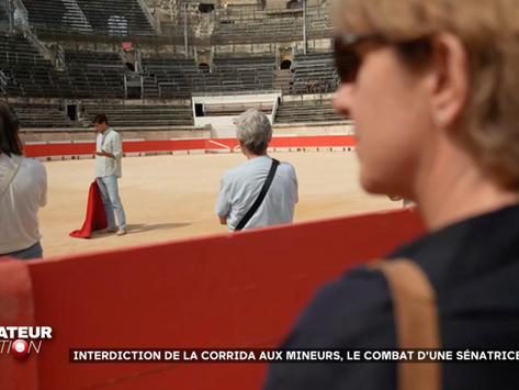 🎥 À voir ! Le combat pour la protection des mineurs face à la violence des arènes continue.