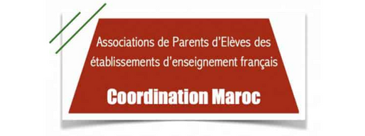 Webinaire sur l’enseignement de la langue arabe au Maroc