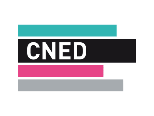Rapport de la cours des comptes sur le CNED