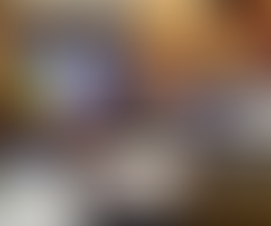 Quelques temps forts au #Sénat cette semaine