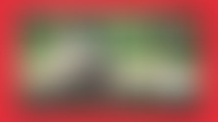 Guide des formations 2025-2026 pour les formateurs et professeurs de français dans le monde