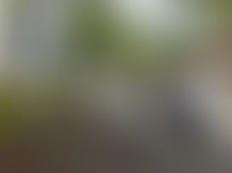 Retour sur mon déplacement à Maurice - Echange avec Julien Faliu d'Expat.com 🇲🇺