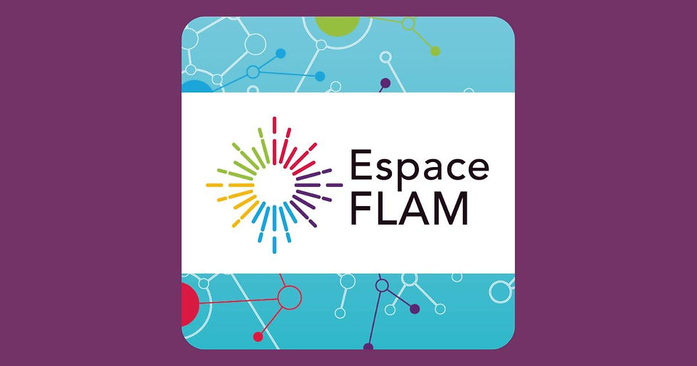 Nouvelles ressources à venir sur l’Espace FLAM !