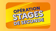 Stage de seconde en France : consultez les offres sur 1élève1stage à partir du 13 février