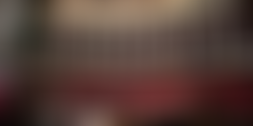 Tribune contre l'abandon des animaux