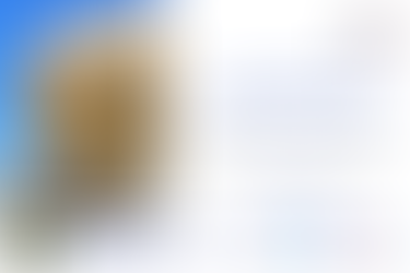 Permanence parlementaire à Séville