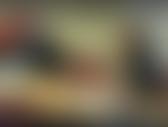 Commission des affaires étrangères : audition de Mme Vidal, ministre de l'enseignement supérieur