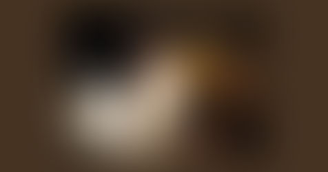 Une mobilisation réussie pour la reconstruction de l’Alliance Française de Ziguinchor au Sénégal