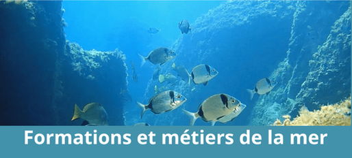 Salon virtuel des métiers de la mer le 24 janvier 2023
