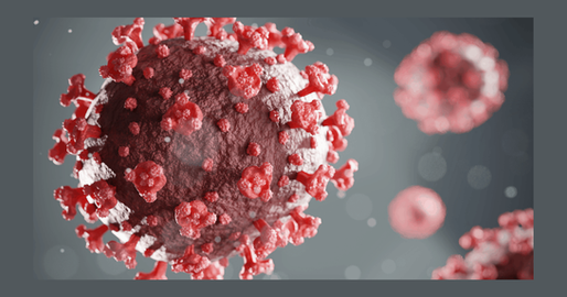 Éducation nationale : Protocole sanitaire Covid-19