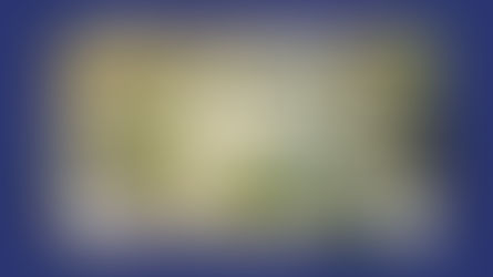 L’AEFE réunit à Lomé les équipes de direction de 48 établissements des zones Afrique occidentale et Afrique centrale