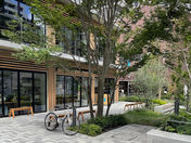 渋谷の真ん中でのんびりできる北谷公園